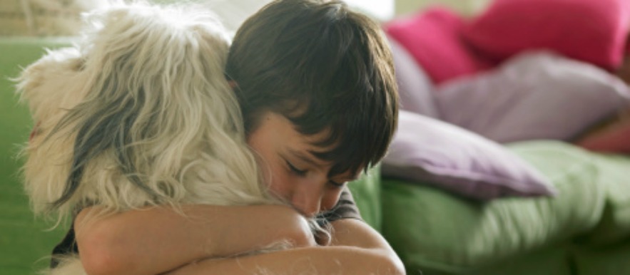 Evite constranger! Evite constranger!