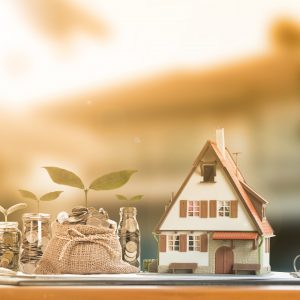 Você quer trazer mais pão para sua mesa? Você quer trazer mais pão para sua mesa?