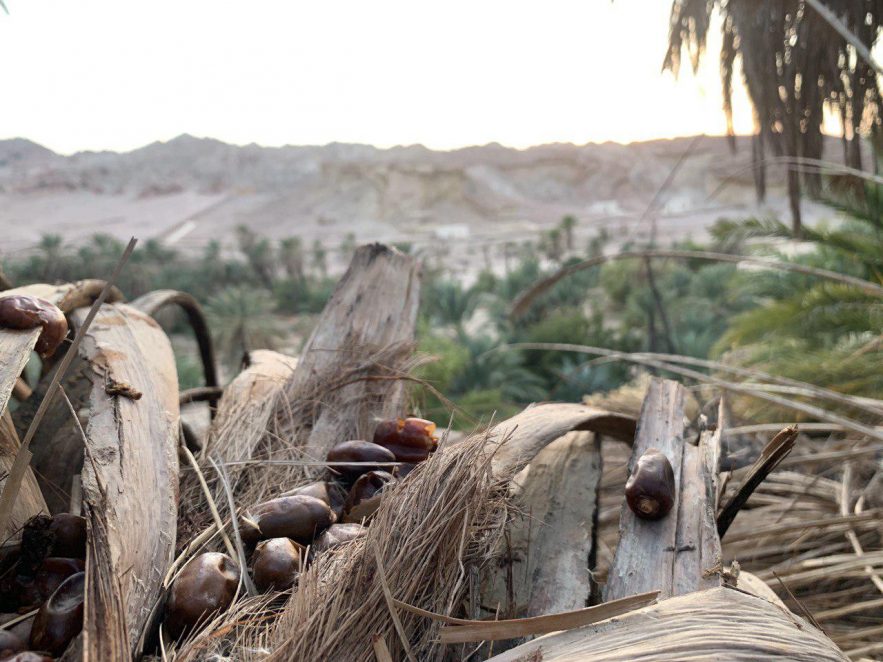 photo_2020-01-20_09-52-03-e1580312708732