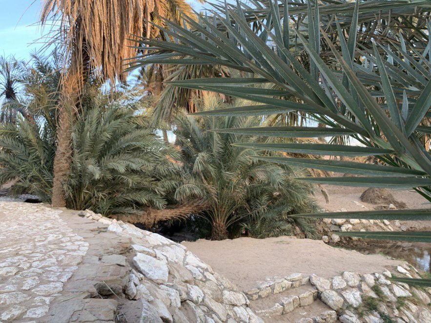 photo_2020-01-20_09-52-06-e1580312702927