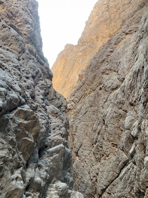 photo_2020-01-20_09-52-27-e1580312670638