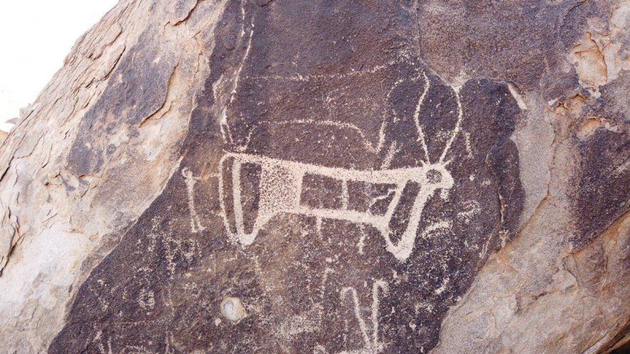 photo_2020-01-20_09-53-39-e1580312565592