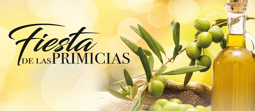 ¿Está tocando lo que es santo? ¿Está tocando lo que es santo?