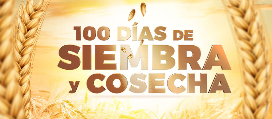 El desafío de los 100 días
