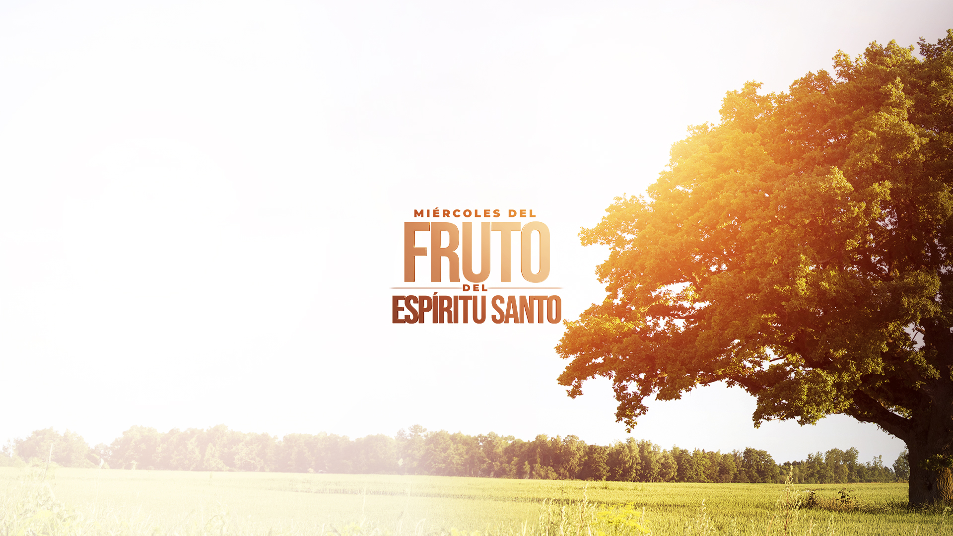 Wed of the Fruit banner 1