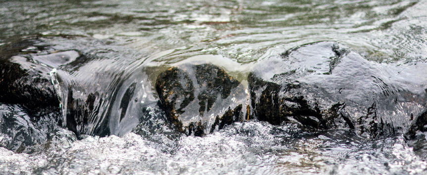 De Aguas Estancadas a Fluir con Vida