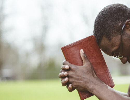 Dia 5 – Renovando a Sua Mente Através da Palavra de Deus