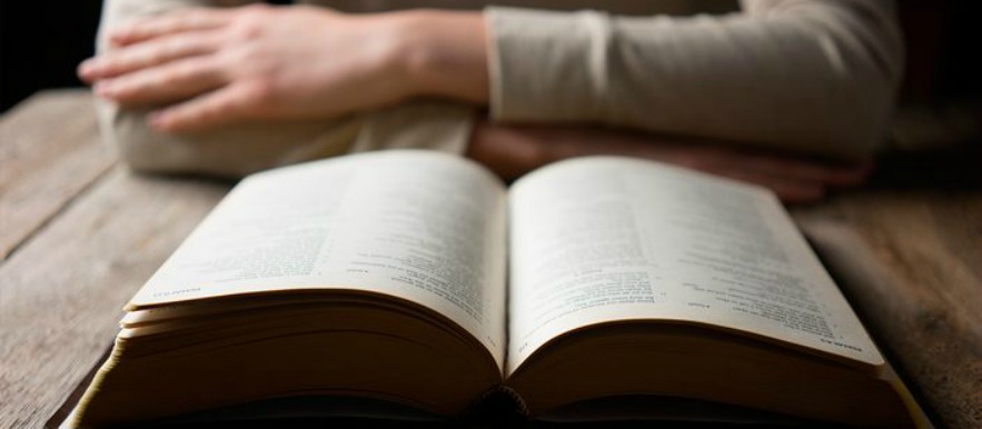 A Testemunha Verdadeira A Testemunha Verdadeira