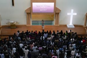 17966269_1303035193143087_9093228456776994045_o