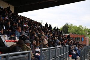 photo_2017-04-18_11-54-31