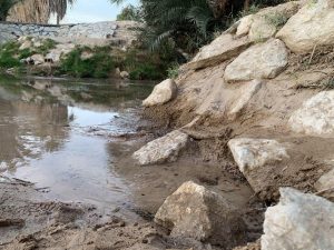 photo_2020-01-20_09-51-47