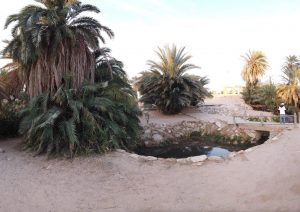 photo_2020-01-20_09-51-51