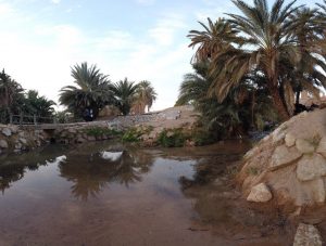 photo_2020-01-20_09-51-56