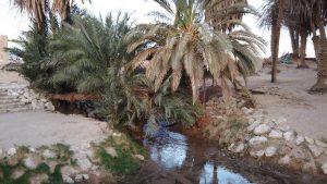 photo_2020-01-20_09-52-00