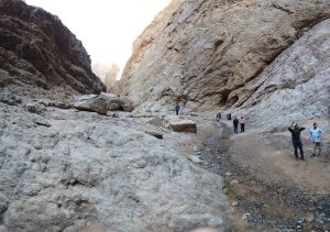 photo_2020-01-20_09-52-14