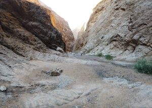 photo_2020-01-20_09-52-17