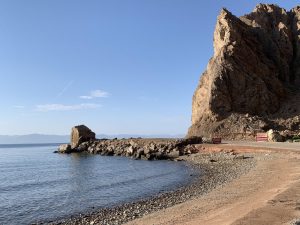 photo_2020-01-20_09-52-32