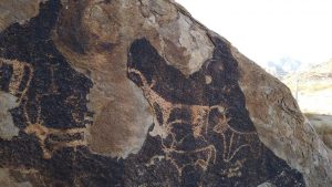 photo_2020-01-20_09-53-35