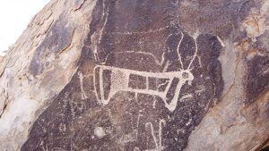 photo_2020-01-20_09-53-39