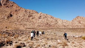 photo_2020-01-20_09-54-19