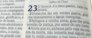 Psalm 23