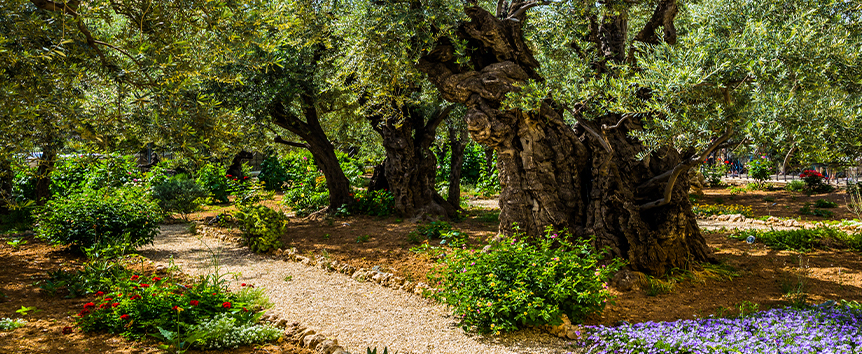 Santa Ceia do Fortalecimento