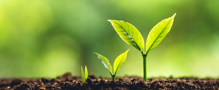 Read more about the article Alphabet of Intelligent Love – G: Growth