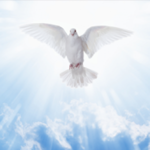 The 7 attributes of the Holy Spirit
