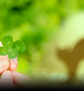 luckunluckout