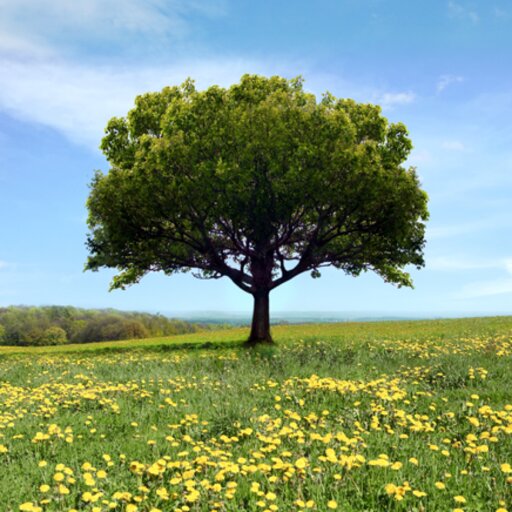 The tithe and the tither