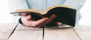wedbanner