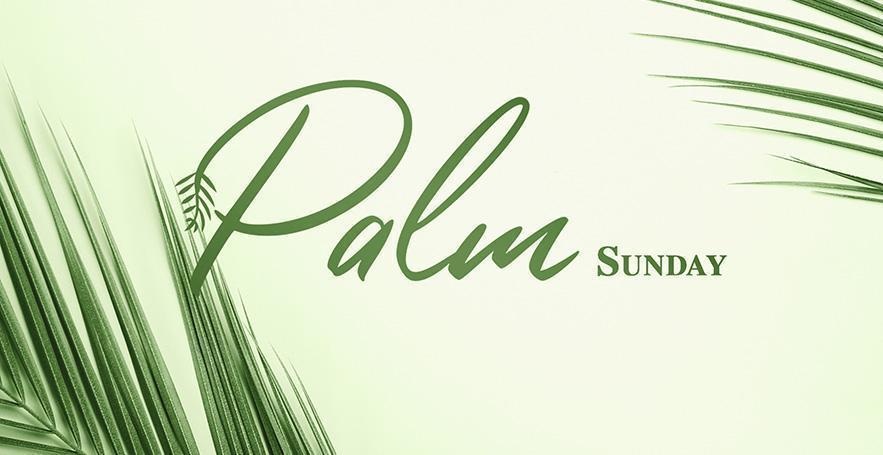Palm sunday web