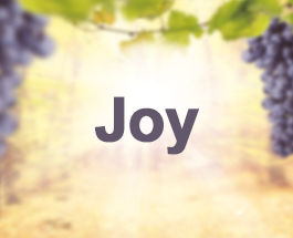 9 Sundays of the Fruit of the Holy Spirit - Joy