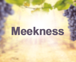9 Sundays of the Fruit of the Holy Spirit - Meekness
