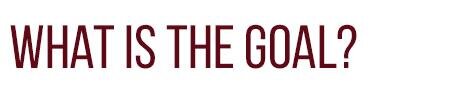 what is the goal 1