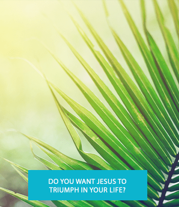 Event box Palm sunday copy