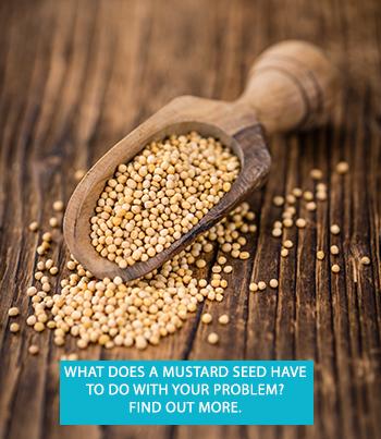 What does a mustard seed have to do with your problem? copy