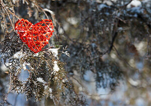 Discover the Root Holding You Back