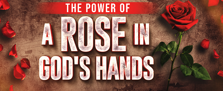 The Faith That Makes the Desert Bloom 1 LT The Power of a Rose in Gods Hand web slider